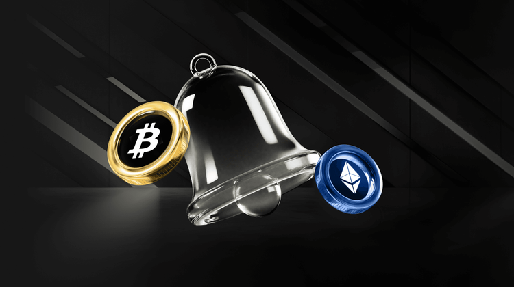 Analyst Provides Timeline For Shiba Inu Price to Reach 2024 Highs