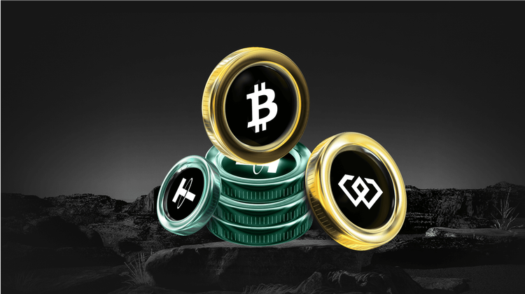 COPPERINU USDT Debuts on WEEX: Copper Inu (COPPERINU) Coin Listing