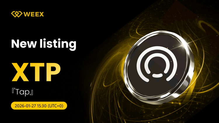 Tap (XTP) Coin Listed on WEEX Spot: XTP USDT Pair Live